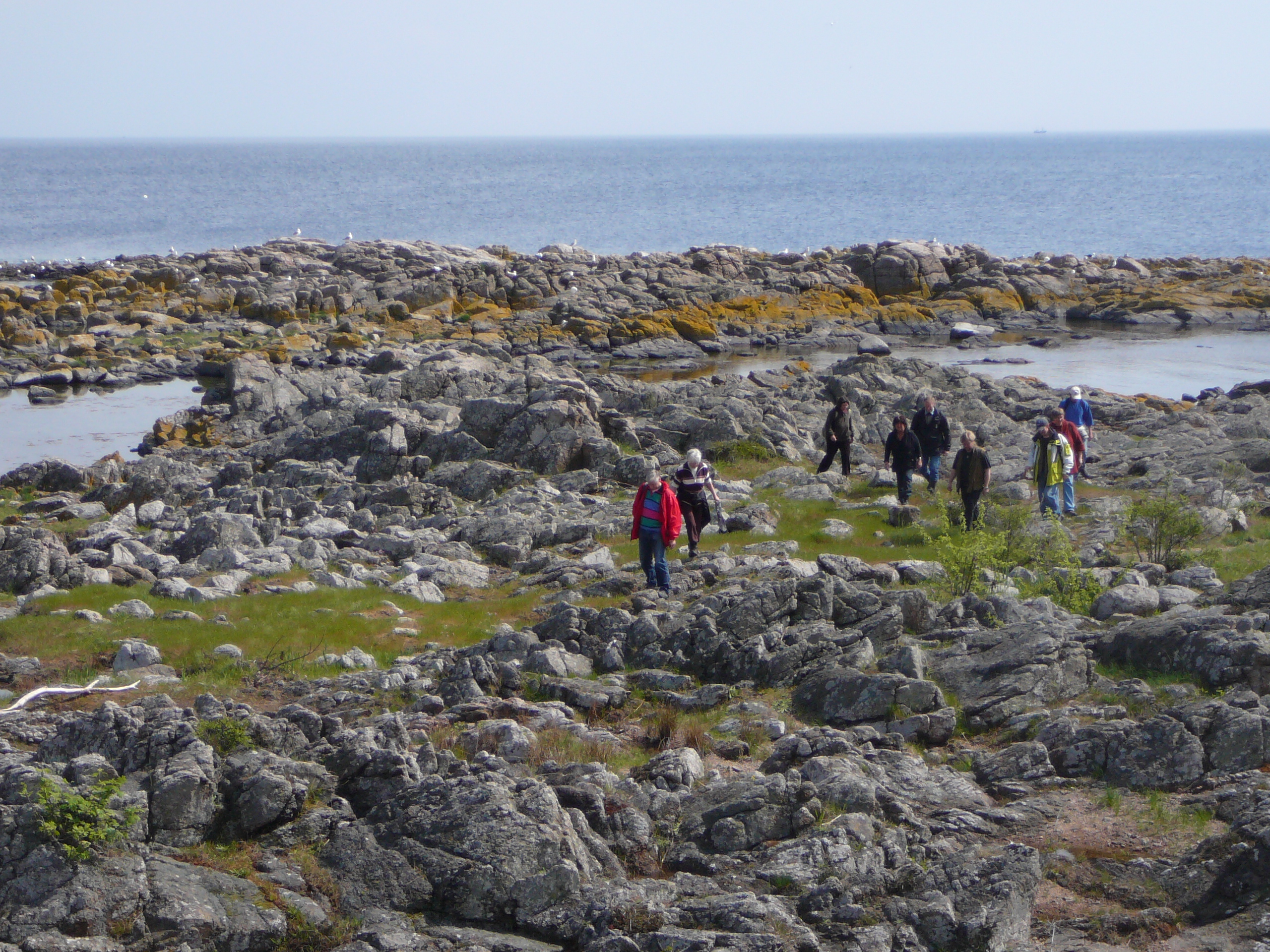 Food & Sustainability Tour