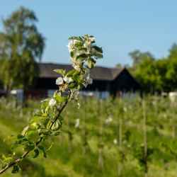 Landskab og folketro