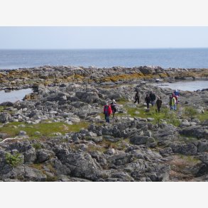 Urtetur EKSTRA med Thomas Guldb�k d. 17. maj 2026