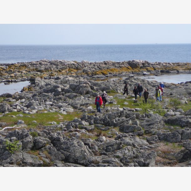 Urtetur EKSTRA med Thomas Guldb�k d. 17. maj 2026