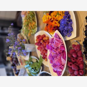 Discover Wild Flavors on Bornholm � A Nordic Foraging Experience