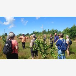 Food Tour Bornholm med Thomas Guldbk
