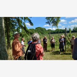 Food Tour Bornholm med Thomas Guldbk