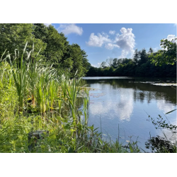 Green Retreat - smag med sjlen