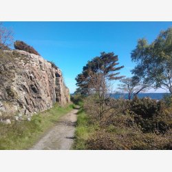 Food, Arts and Crafts Tour  Turen med et kunstnerisk fokus