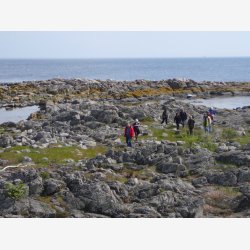 Food, Arts and Crafts Tour  Turen med et kunstnerisk fokus