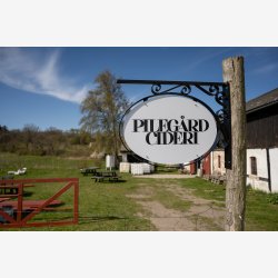 Den Vilde Smag p� Pileg�rd Cideri